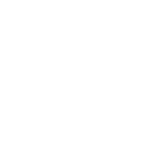 Icon of a shield with a percentage symbol inside, representing protection or guaranteed savings.